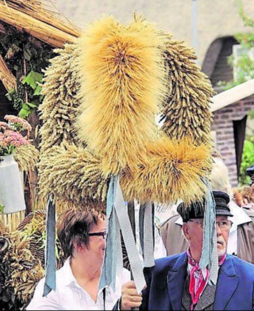 Vorschaubild